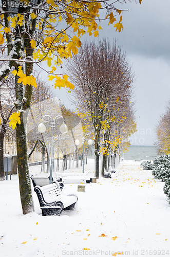 Image of Alley in the Park later in the autumn. Snow storm 