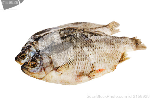 Image of dried fish is isolated on white 