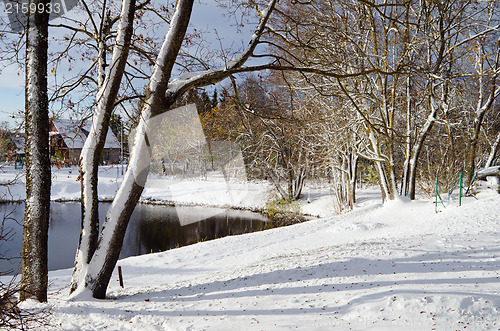 Image of landscape near the pond with the autumn trees under snow