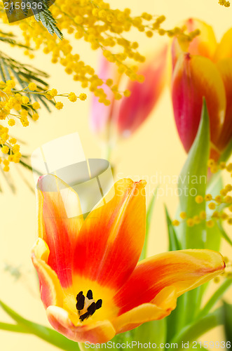 Image of Spring bouquet with a mimosa and tulips