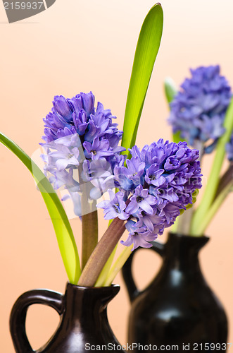 Image of Bouquet with blossoming to hyacinths in a vase