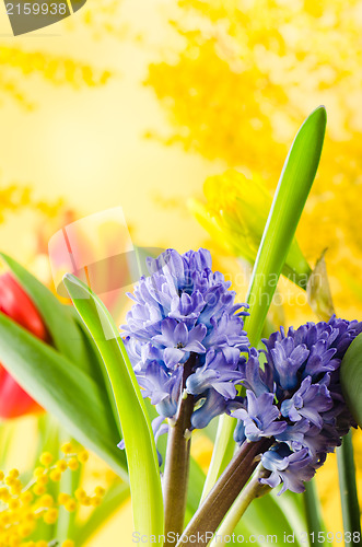 Image of Bouquet with spring flowers and a mimosa