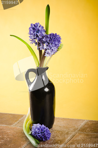 Image of Bouquet with blossoming to hyacinths