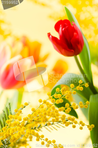 Image of Spring bouquet with a mimosa and tulips