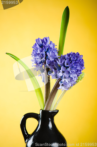 Image of Bouquet with blossoming to hyacinths