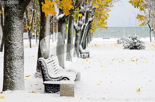 Image of Alley in the Park later in the autumn. Snow storm 