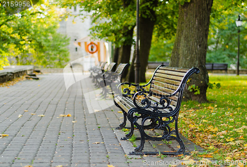 Image of Benches in autumn park