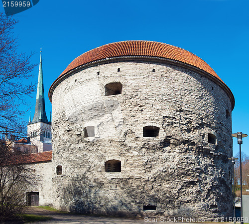 Image of Tower Thick Margarita, Tallinn