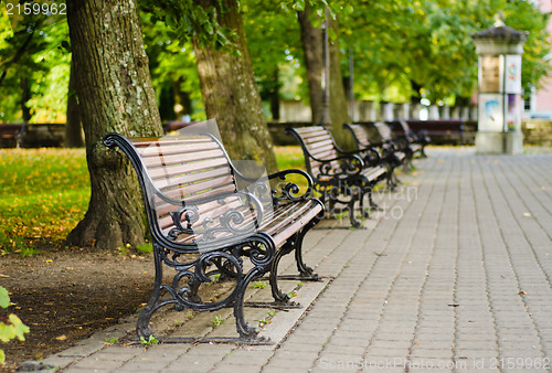 Image of Benches in autumn park