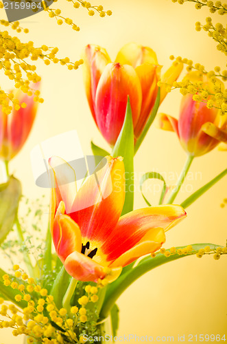 Image of Spring bouquet with a mimosa and tulips