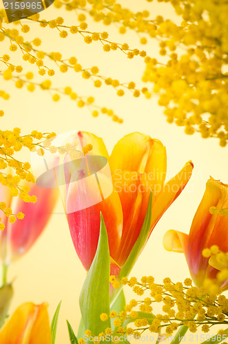 Image of Spring bouquet with a mimosa and tulips