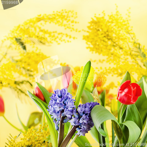 Image of Bouquet with spring flowers and a mimosa