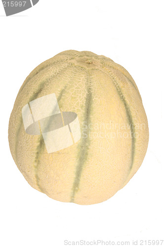 Image of tuscan melon