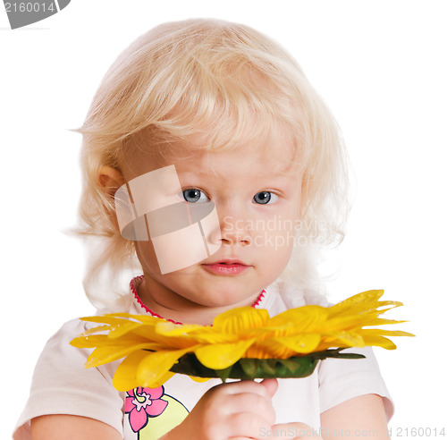 Image of Portrait of the little girl on a white background