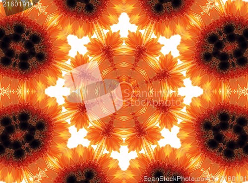 Image of Gerber flower abstract pattern