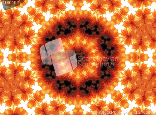 Image of Gerber flower abstract pattern