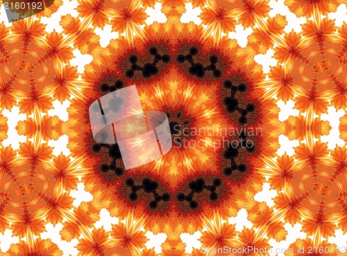 Image of Gerber flower abstract pattern