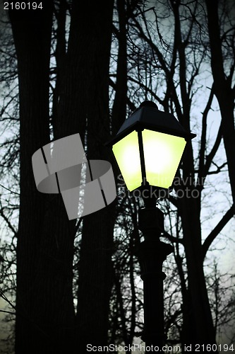 Image of Street light and silhouettes of trees