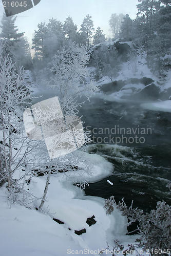 Image of frosty morning