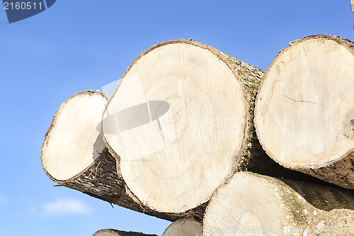 Image of Large logs stacked on a blue sky background