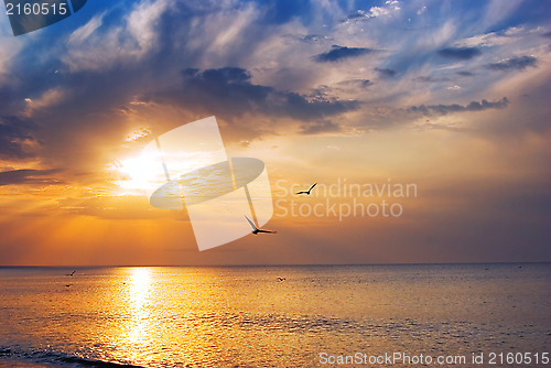 Image of sunrise at sea