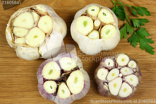 Image of Garlic