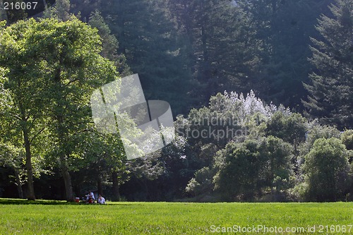 Image of Picnic in the park