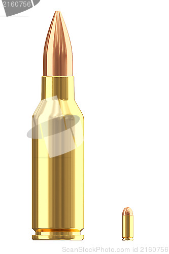 Image of Big and small ammo cartridges on white