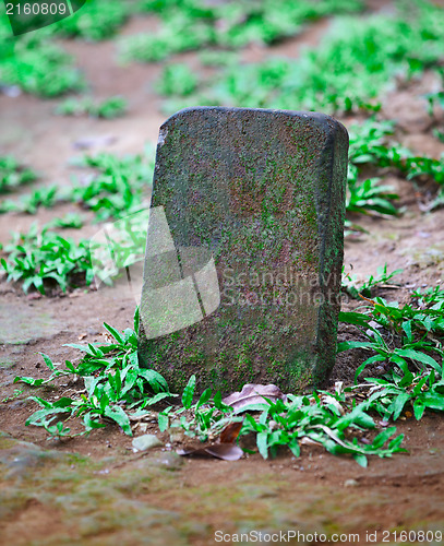 Image of Tombstone for the pet grave