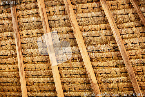 Image of Structure of thatched roof