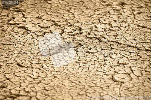 Image of Cracked dry earth - natural background