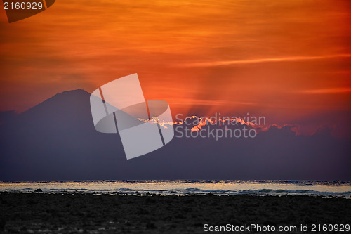 Image of Gili