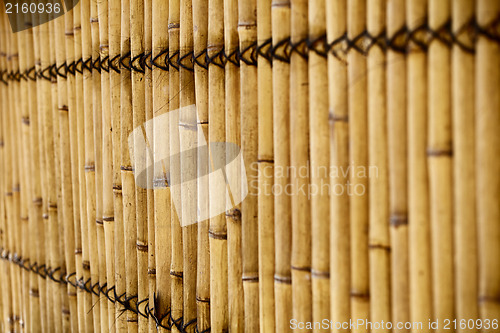 Image of Bamboo fence