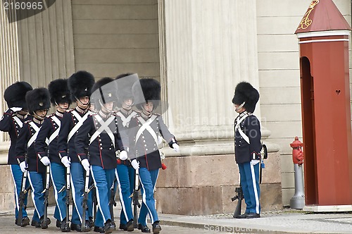 Image of Royal guard