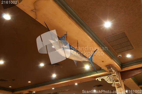Image of sword fish decoration