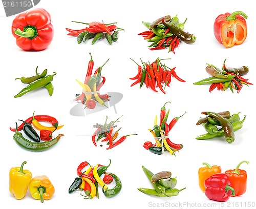 Image of Collection of Peppers