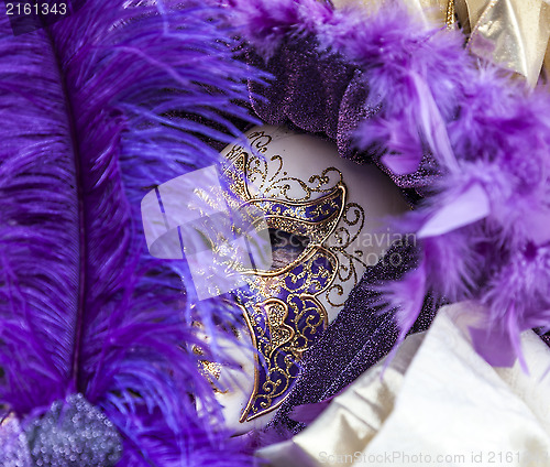 Image of Venetian Disguise-Close-up