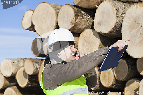 Image of Lumberjack  talking on the cell phone near at the log pile 
