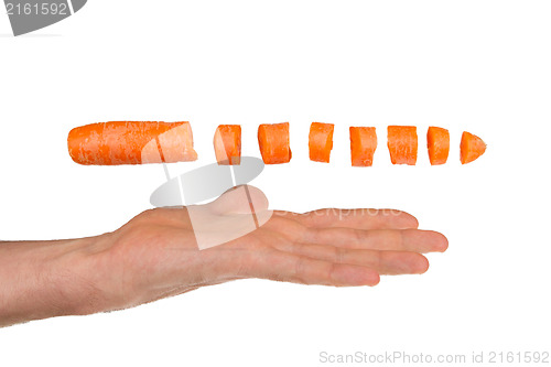 Image of Carrot isolated on a white background