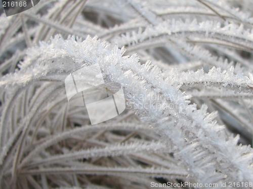 Image of Ice, grass