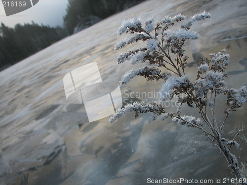 Image of Frozen lake
