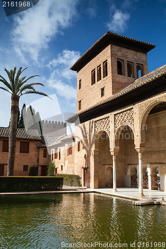 Image of In Alhambra in Granada