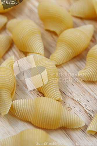 Image of Pasta Shells