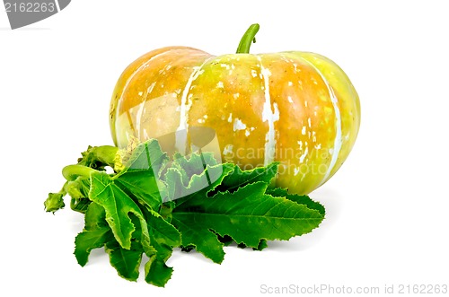 Image of Pumpkin yellow with leaf