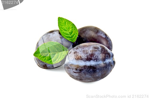 Image of Plum purple with leaves