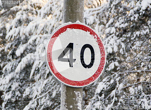 Image of Speed limit sign on a forest road