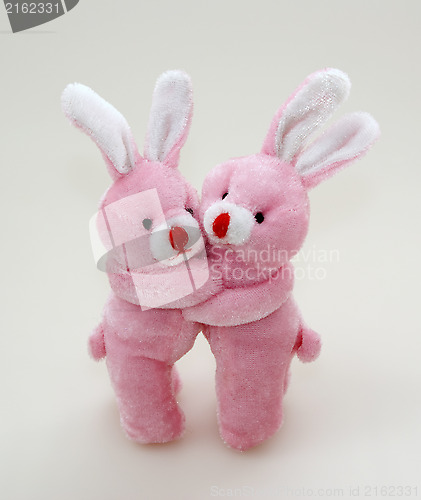 Image of Two pink rabbits cuddling