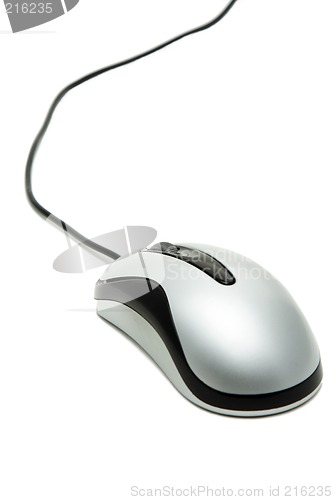 Image of Mouse