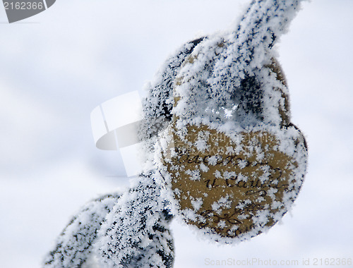 Image of Frosted padlock hanging on the chain