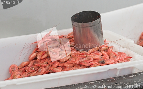 Image of Prawn